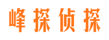 沙坪坝市婚外情调查